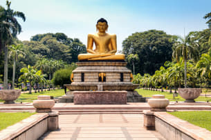 M8com3h1ekvoocr847ao96gz9osg 1558916414 shutterstock 772438240