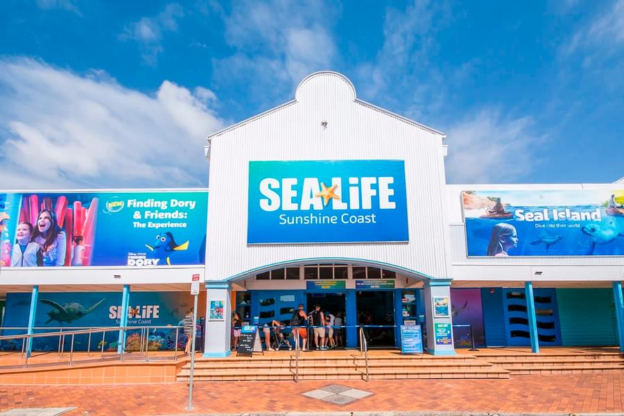 Visit the Sea Life Sunshine Coast Aquarium in Australia