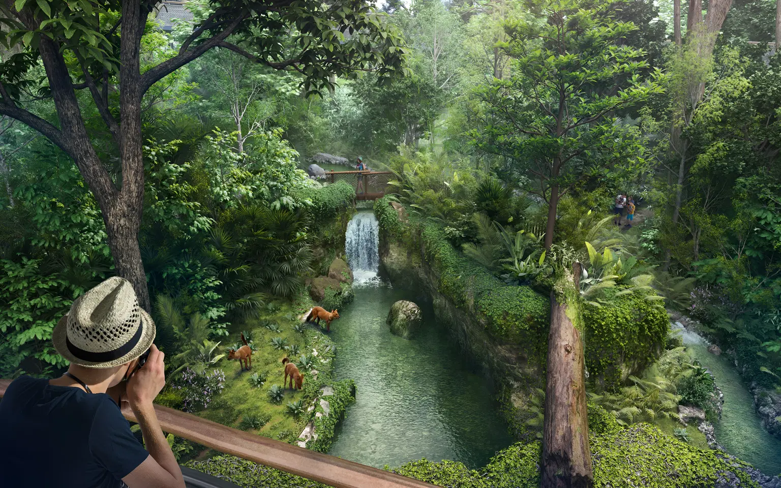 Rainforest Wild Asia