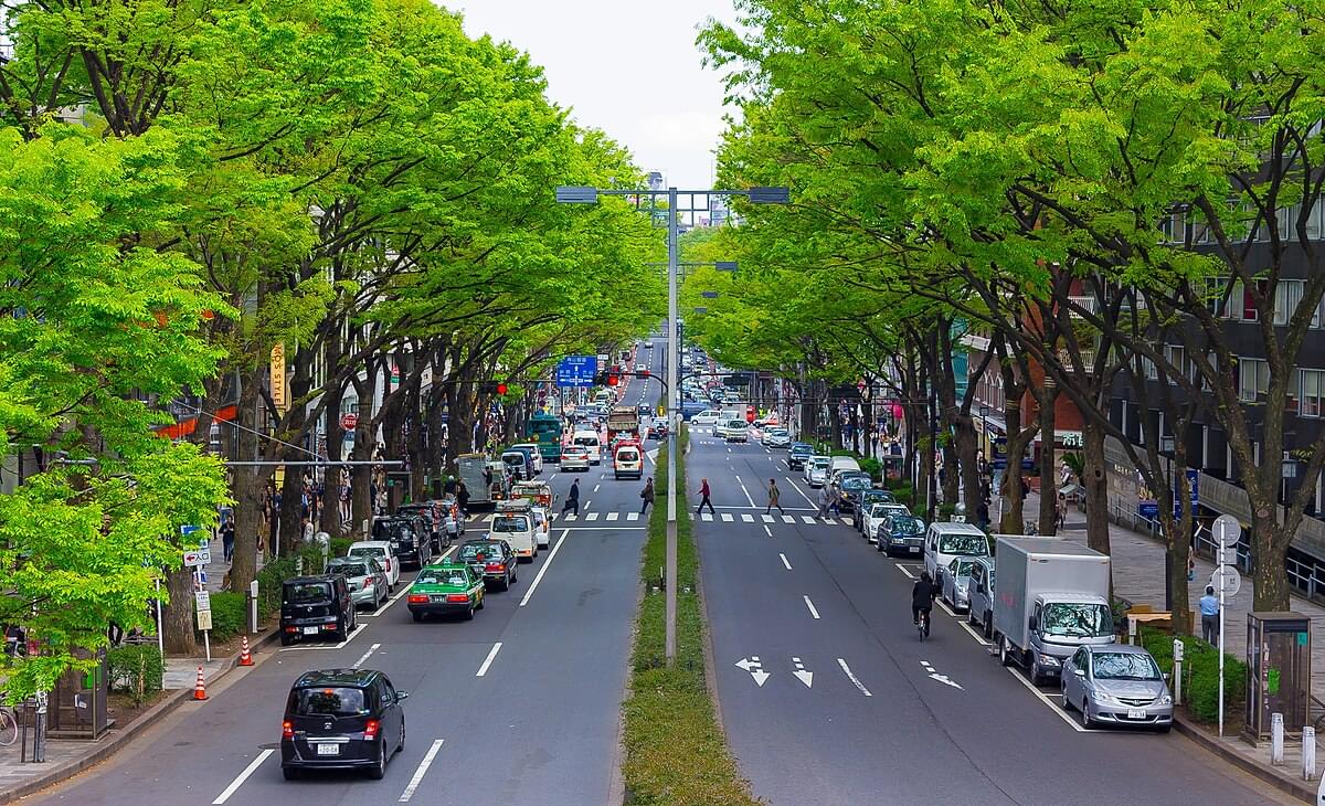 Omotesando, Tokyo Overview