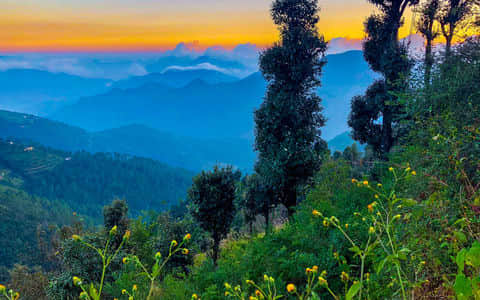 Things to do in <em>Kanatal</em>