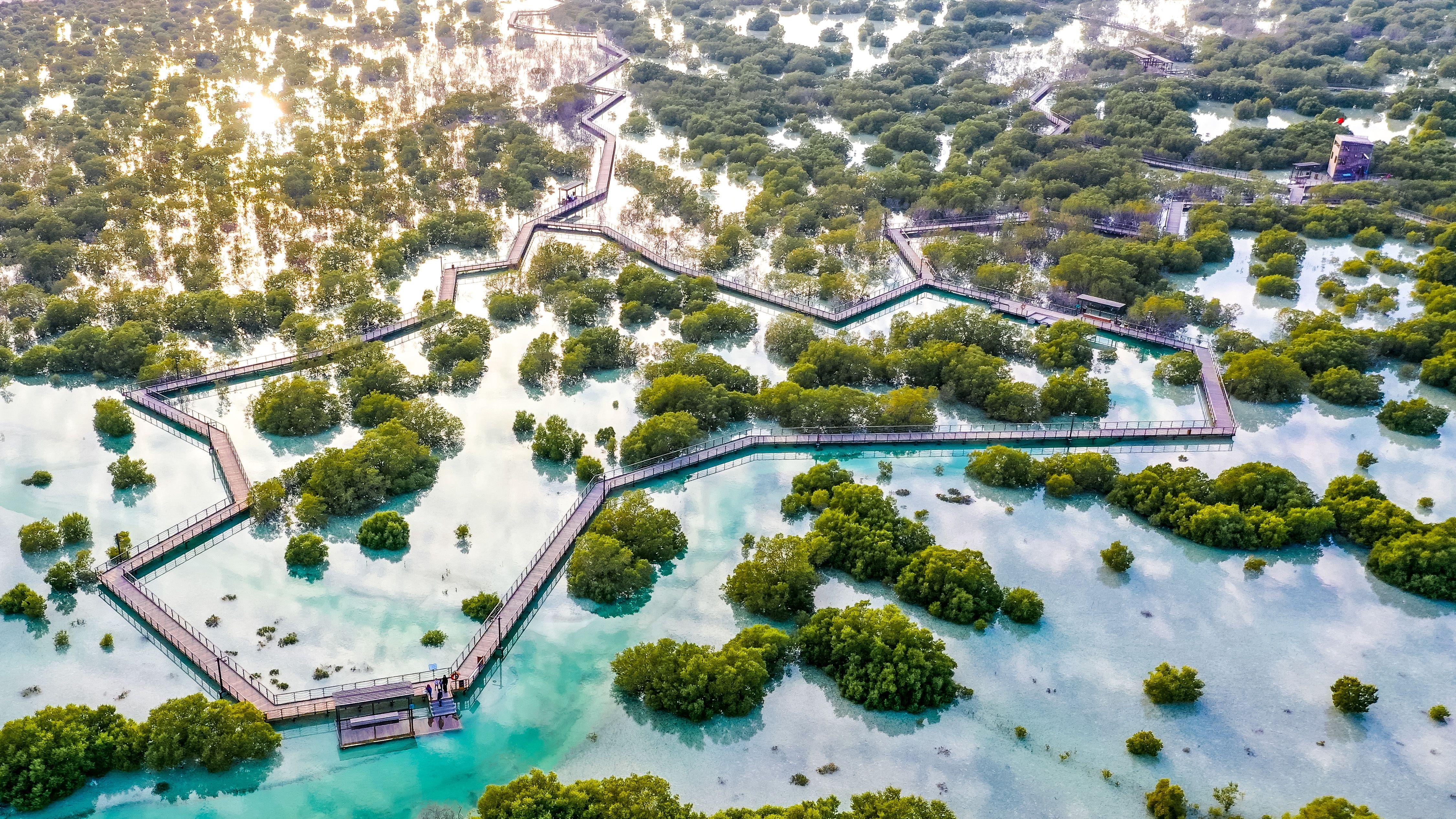 Jubail Mangrove Park