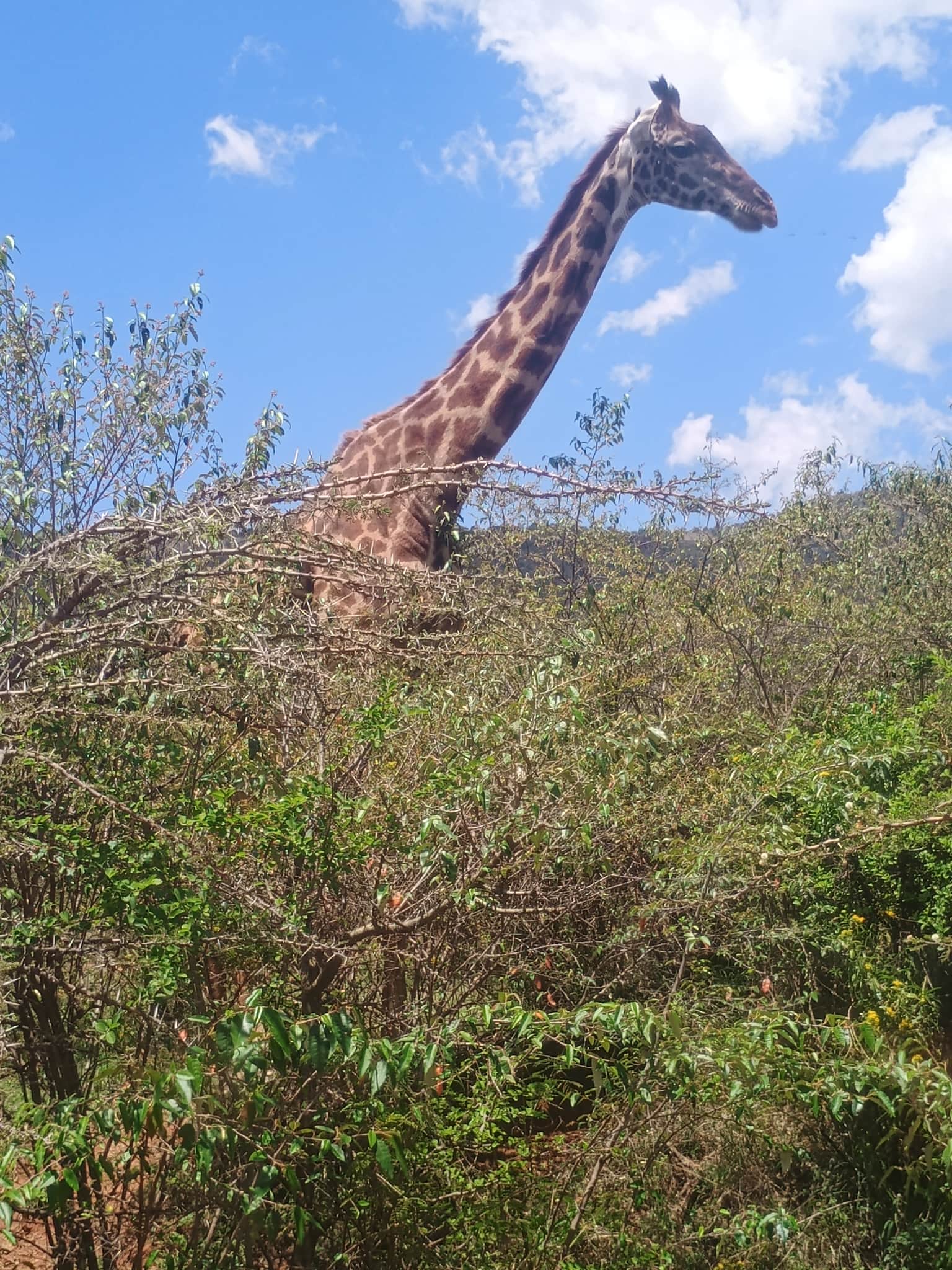 Photo from Sushant Palekar's trip