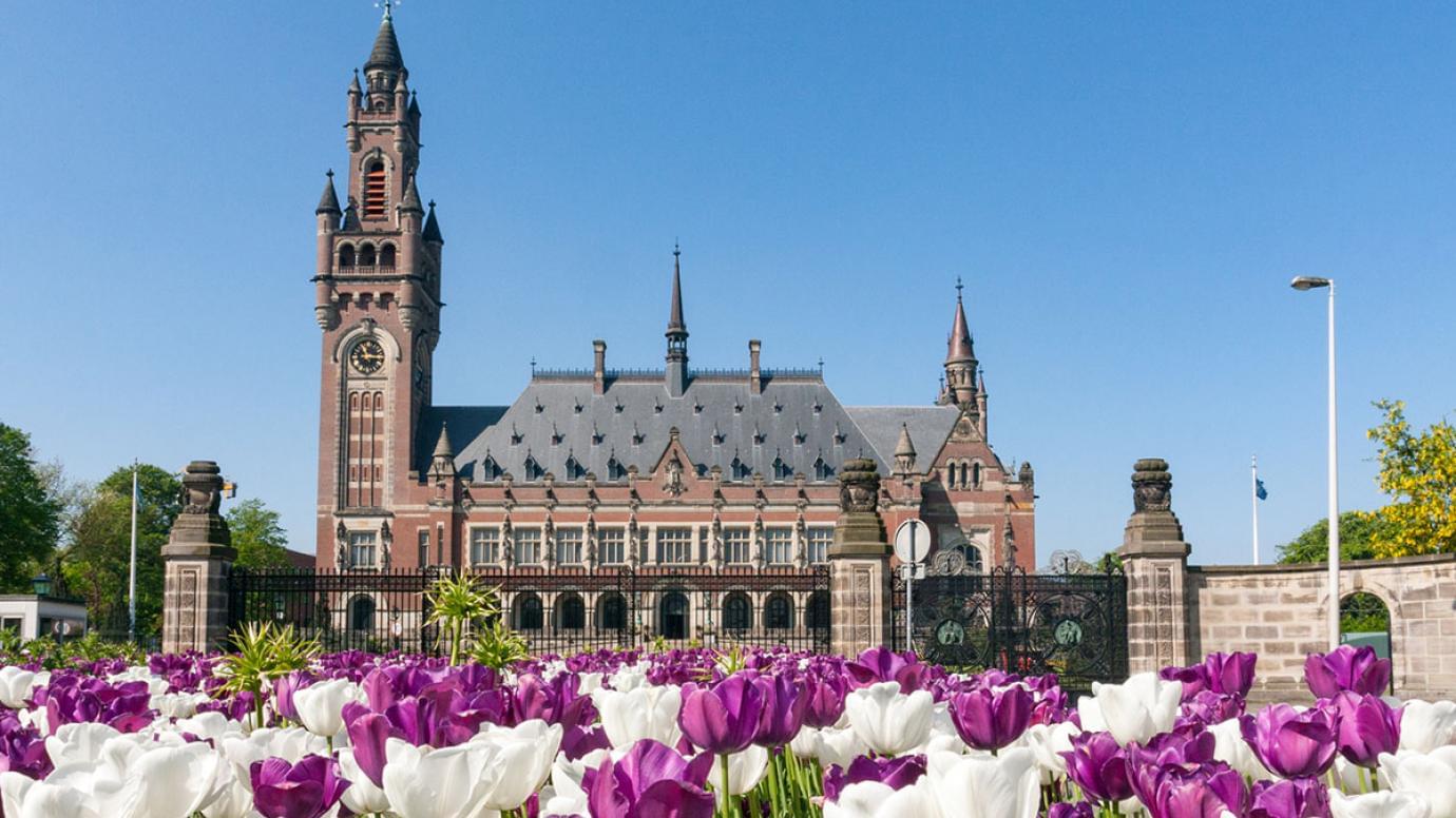 Peace Palace Overview