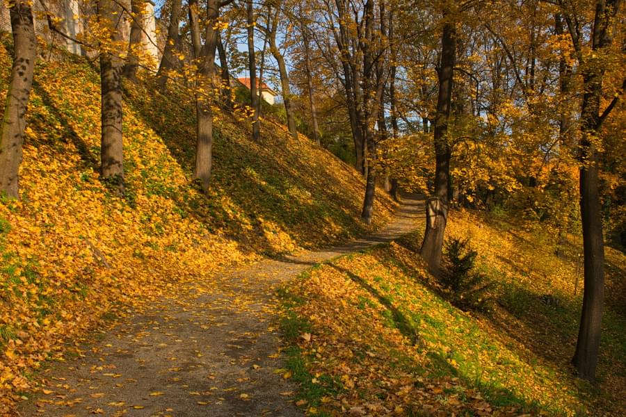 Enjoy nature at Jelení Príkop
