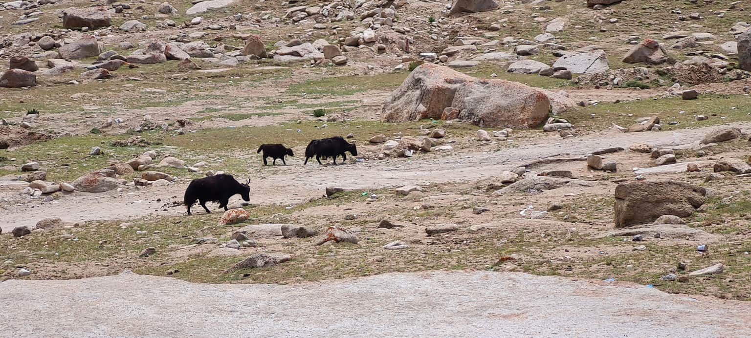 Photo from Pravin Jalgaonkar's trip