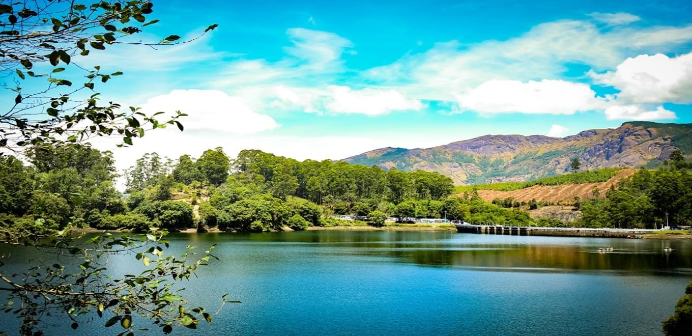 Top Experiences In Munnar