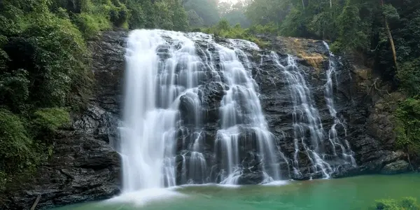 Explore Nearby Attractions