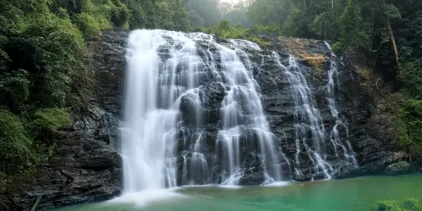 Explore Nearby Attractions
