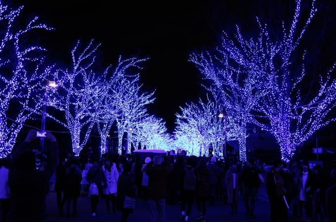 Yoyogi Park