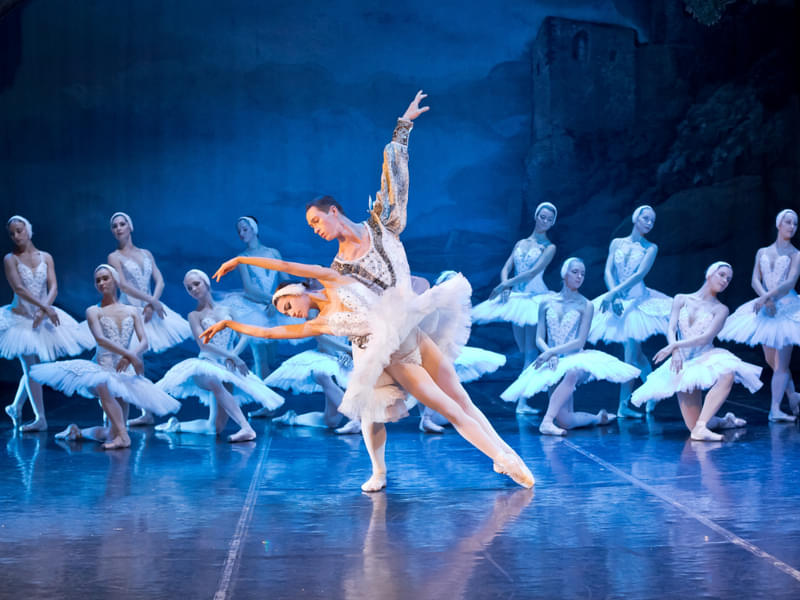The Best of Swan Lake at Hybernia Theater Prague