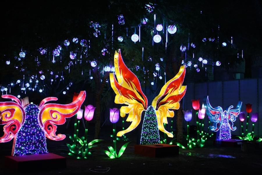 Experience the majestic beauty of the Glowing Butterflies