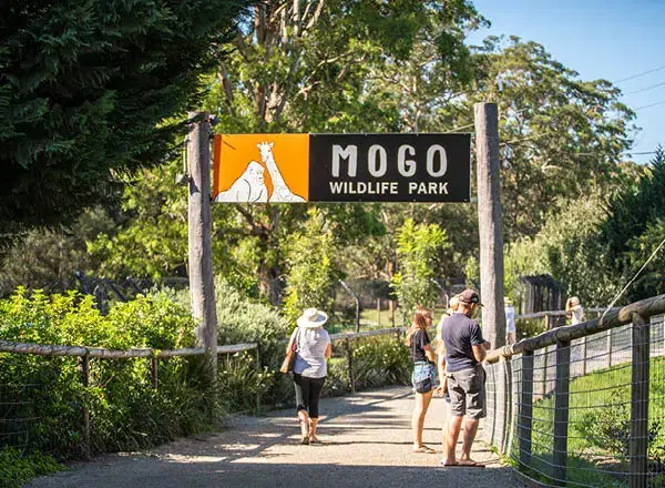 Mogo Wildlife Park Overview
