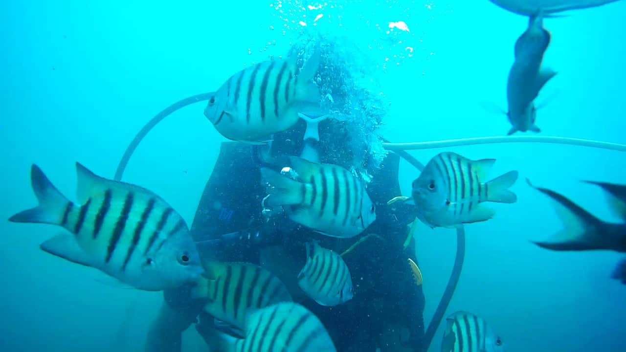Photo from Ranish ismail's trip