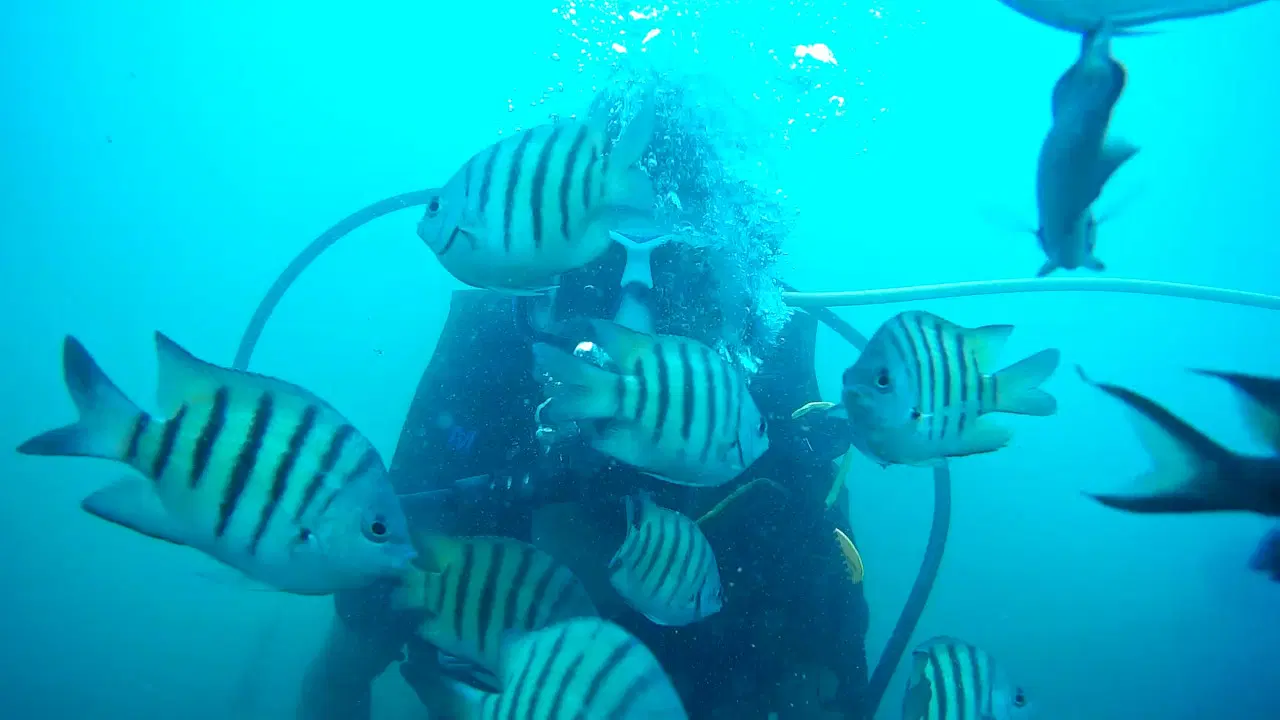 Photo from Ranish ismail's trip