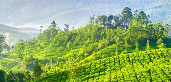 Mdcijtbsbsgmt3mlqqvubq6xkhs4 1502717548 munnar preset2.jpg