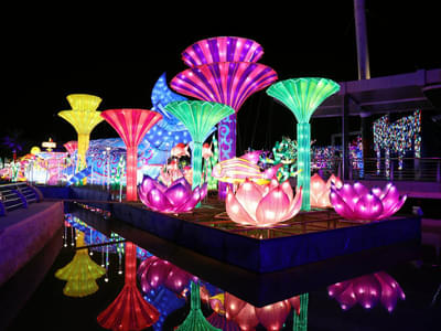 Get a taste of the beautiful Glow Garden and it's spectacular artworks