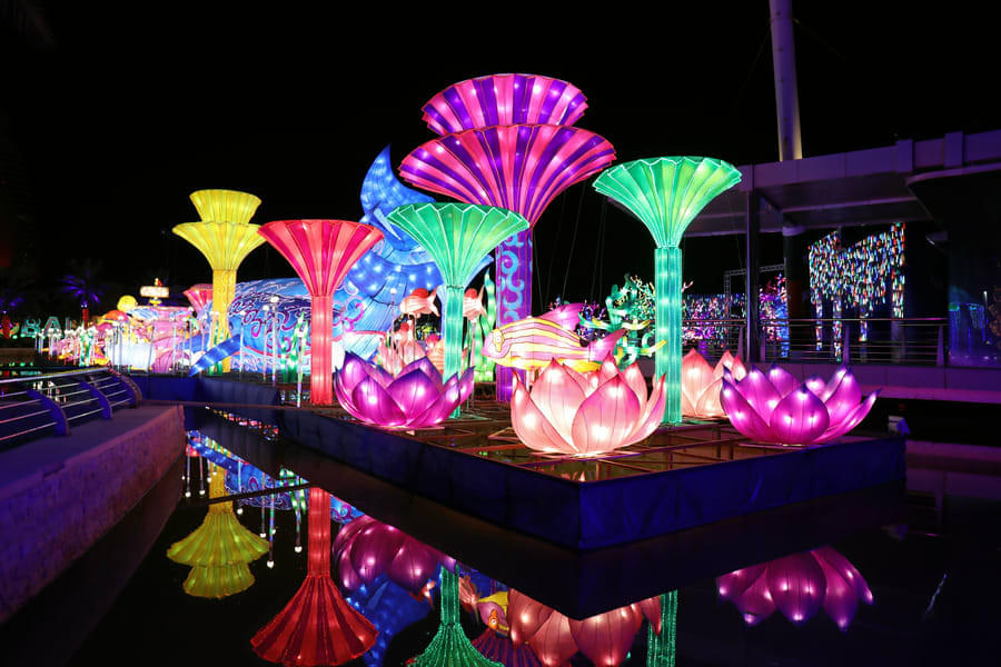 Get a taste of the beautiful Glow Garden and it's spectacular artworks
