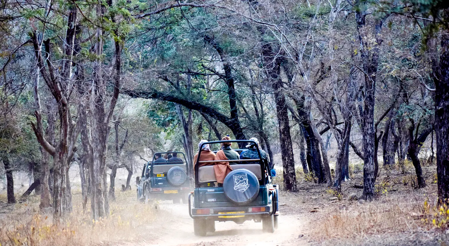 <em>Ranthambore</em> Tour Packages From Chennai 