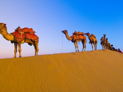 Golden Triangle With Rajasthan Tour Day 2