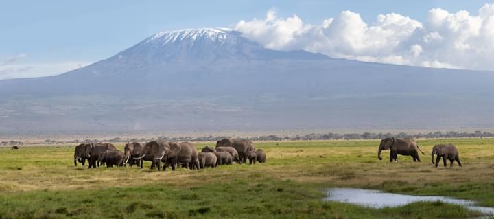 Mount Kilimanjaro National Park