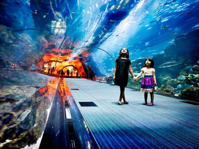 Explore Underwater tunnel which offers a 270-degree view