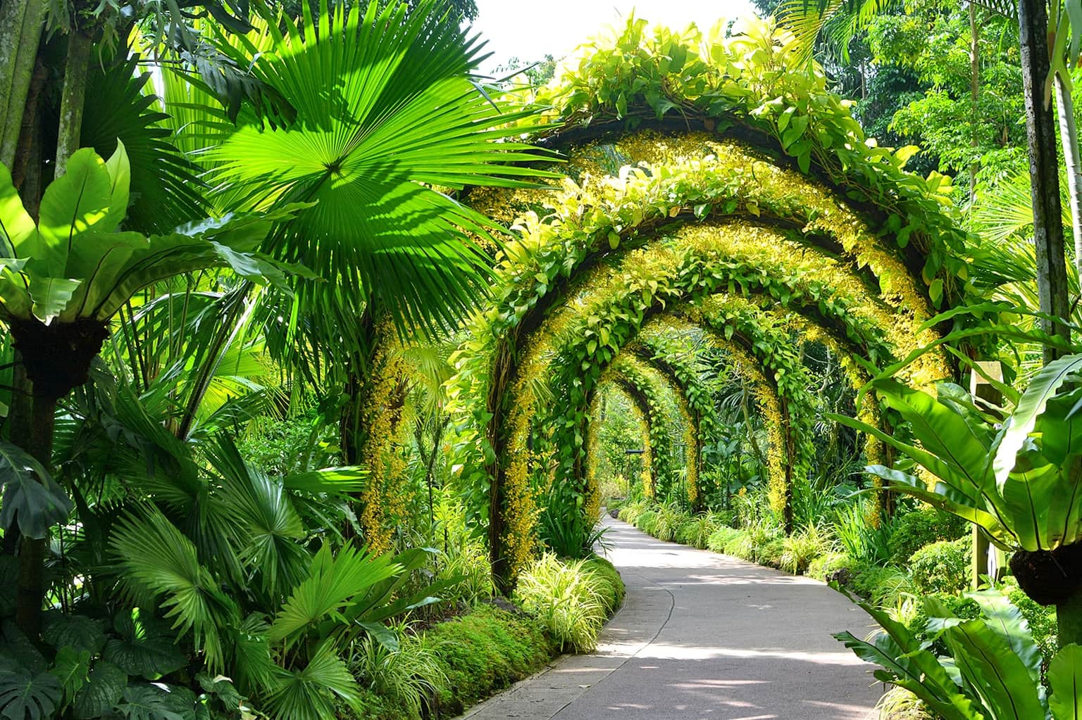 National Orchid Garden Singapore