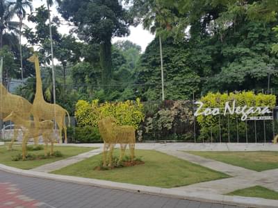 Zoo Negara Admission Ticket + Panda Centre (Malaysian Residents)