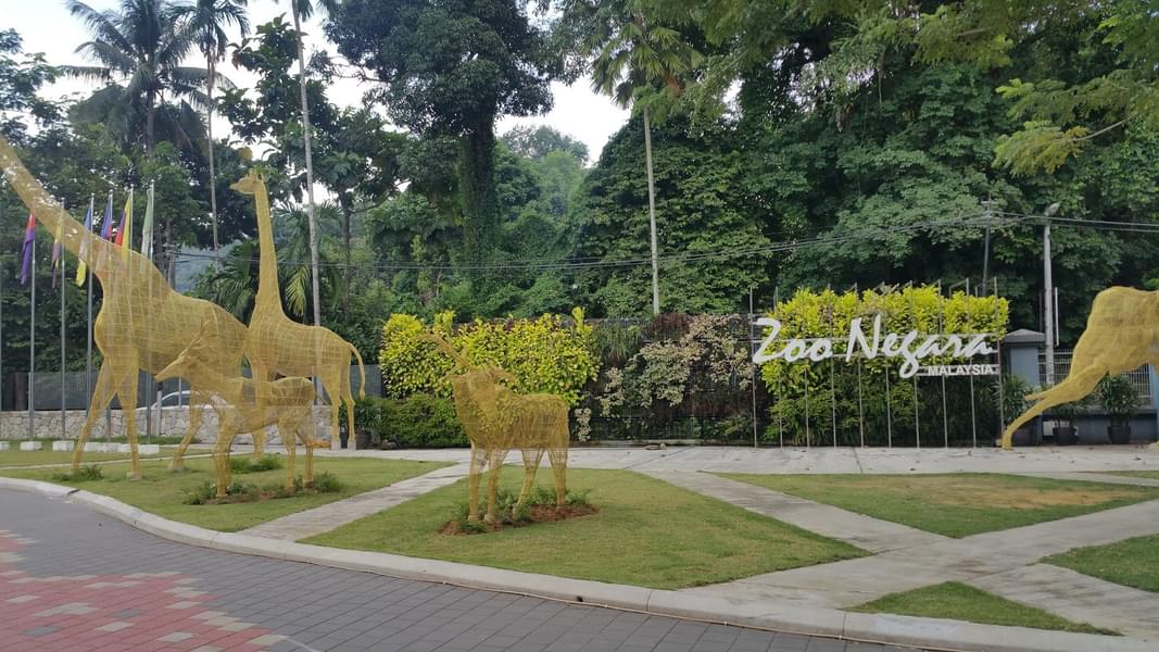 Click pictures at the beautiful set up of Zoo Negara