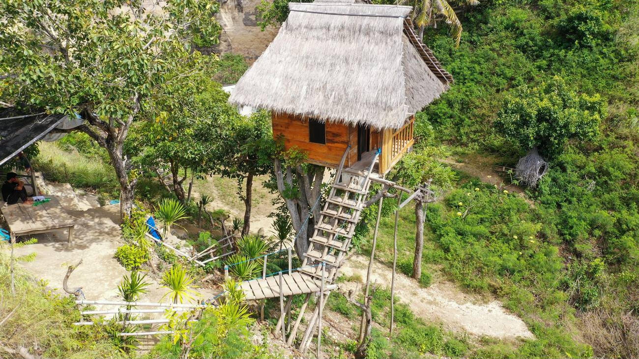 Rumah Pohon (Tree House)