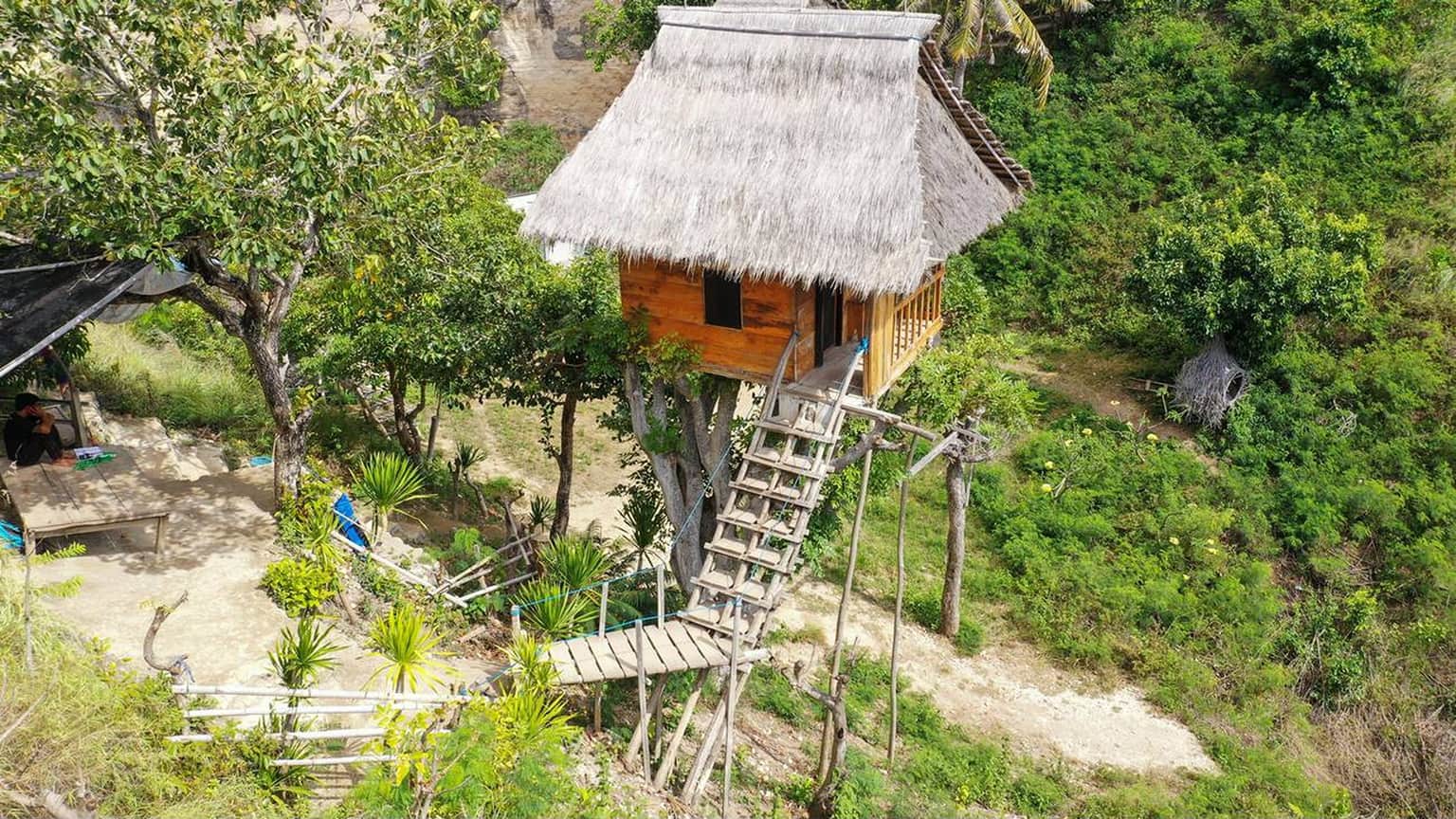 Rumah Pohon (Tree House)