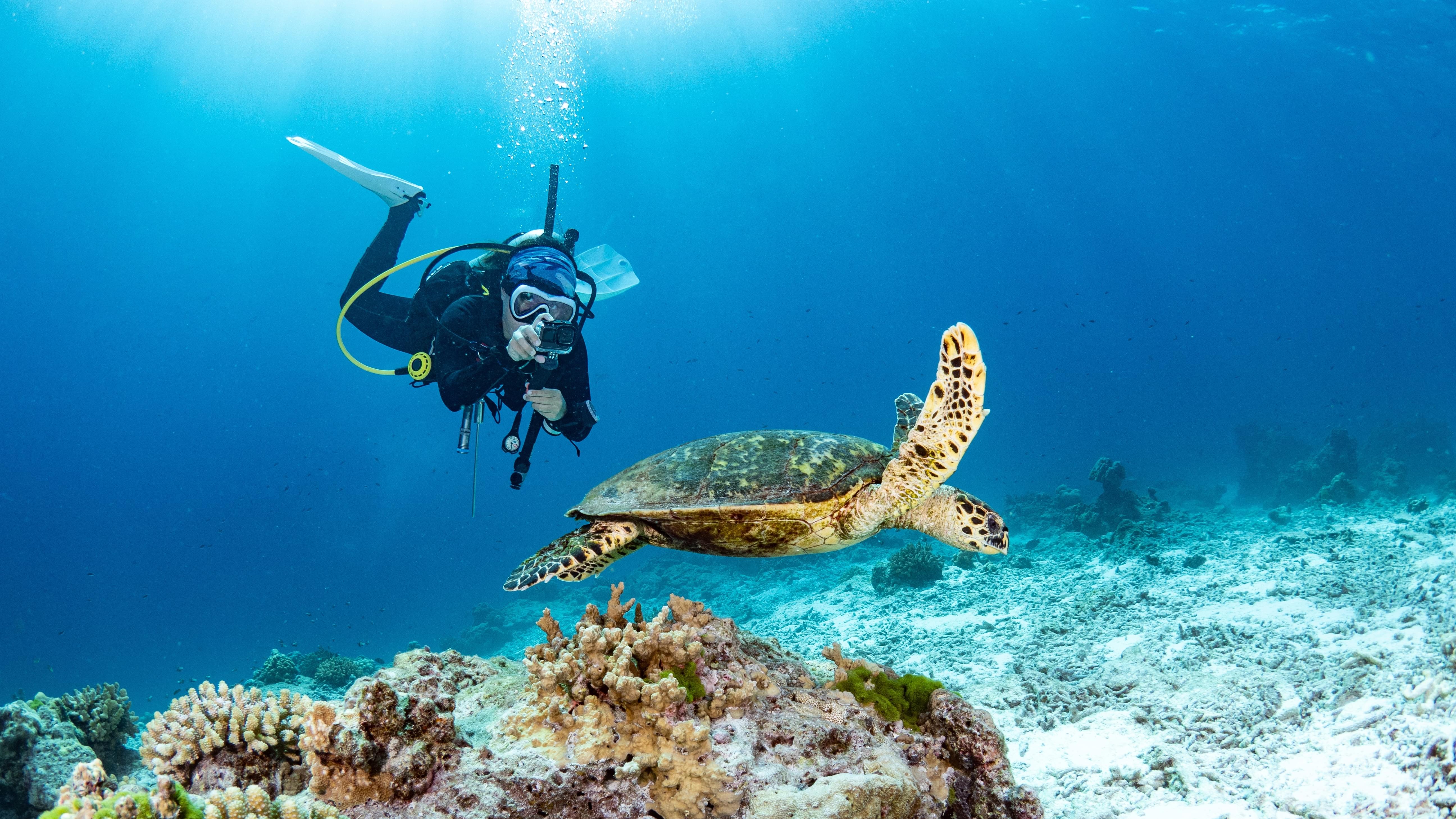 Scuba Diving in Pondicherry