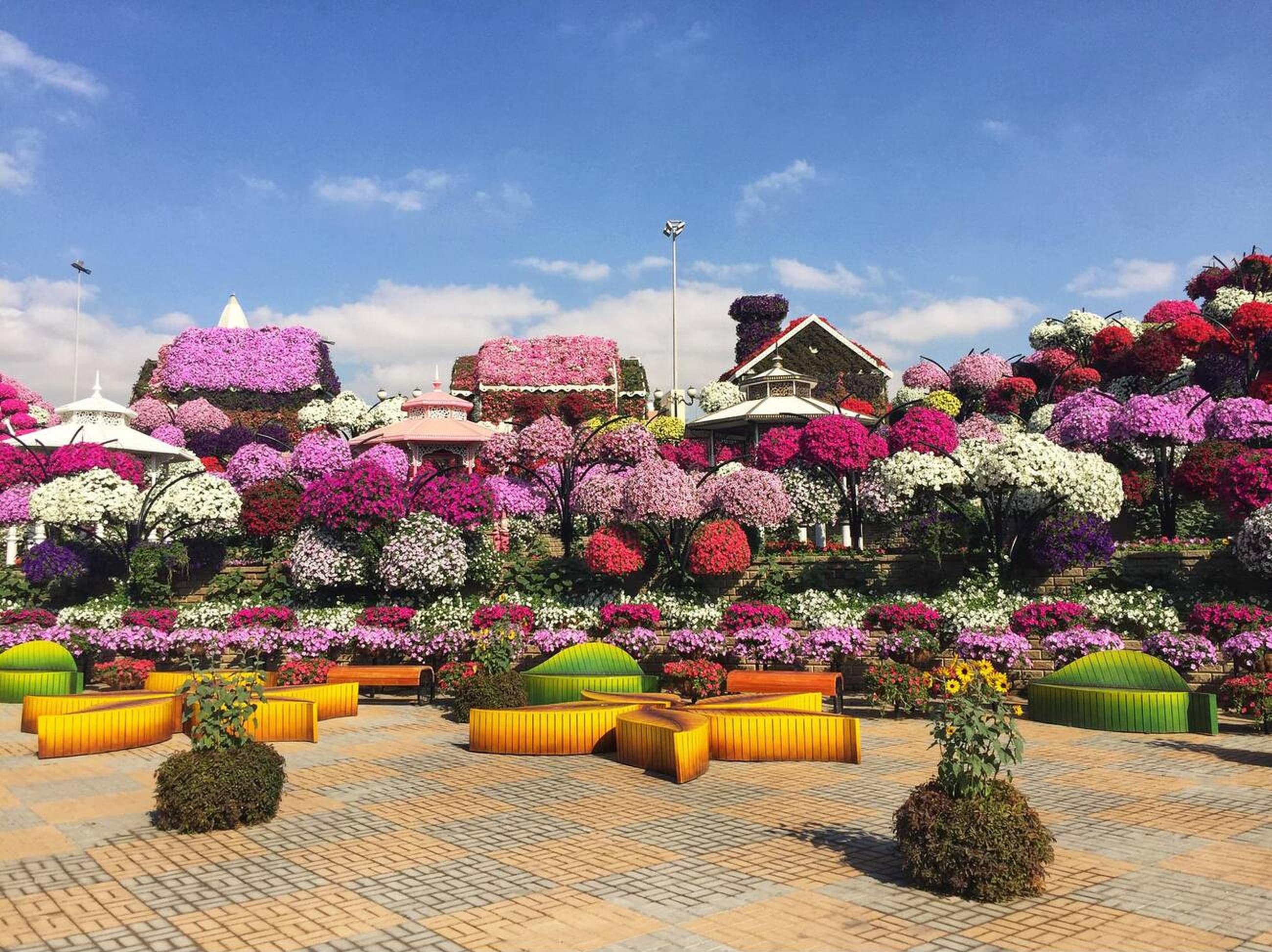 Miracle Garden Dubai