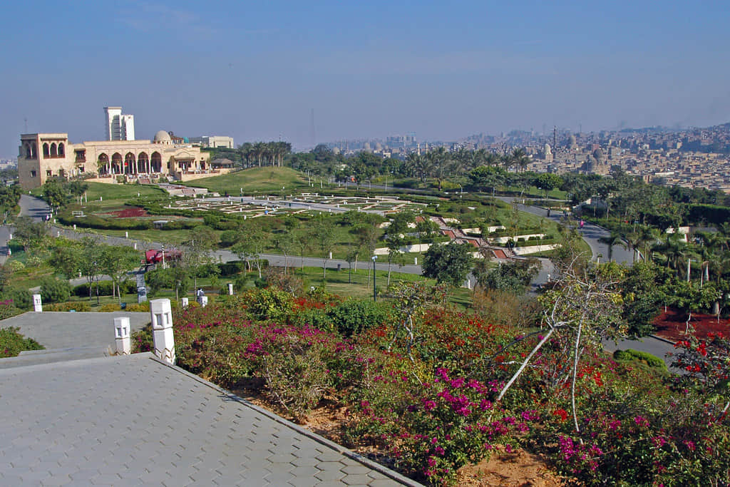 Capture the Moment at the Park’s Viewpoints