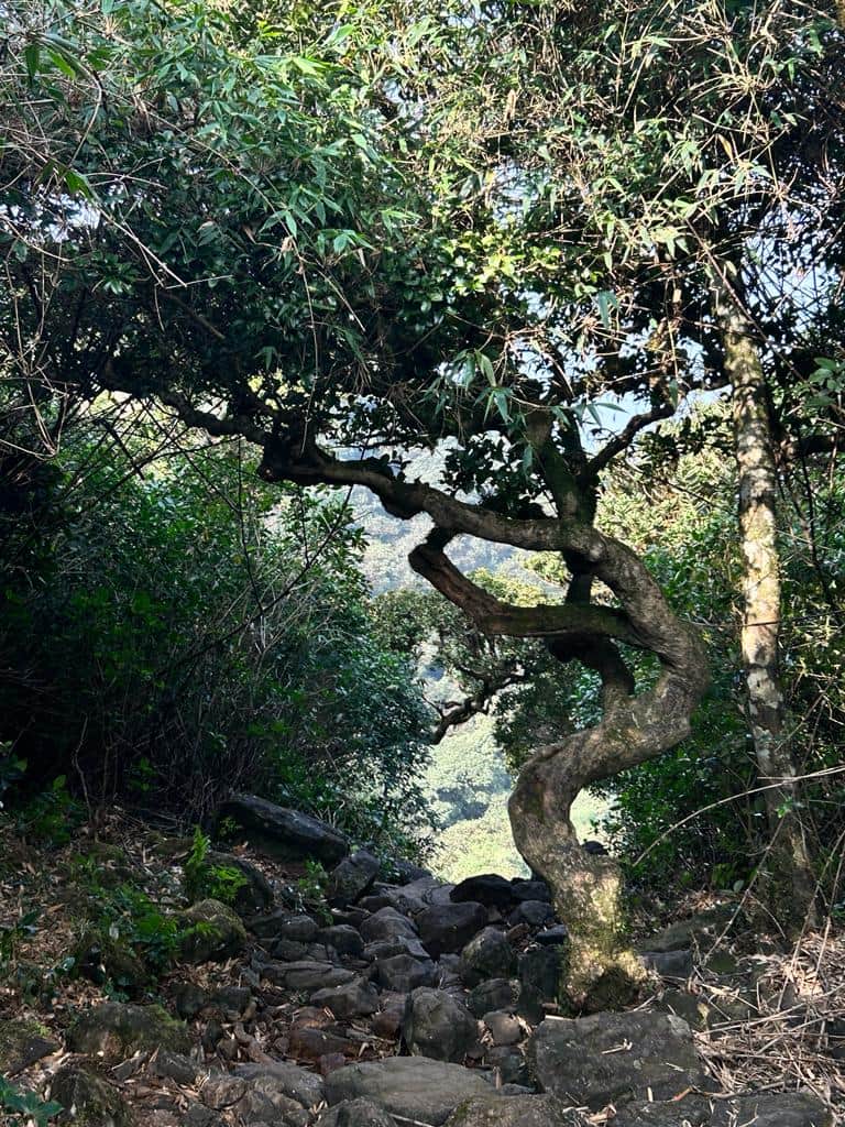 Photo from George Joseph's trip
