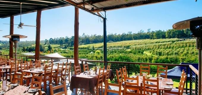 Yarra Valley Wine Tour