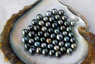 Mfm08eojpa2z1xo380vj2bkhz7fx 1615616329 shutterstock 156805445