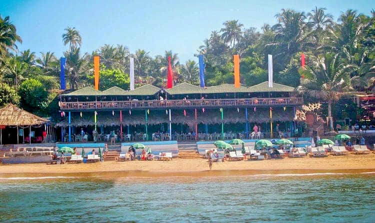 Curlies, <em>North Goa</em>