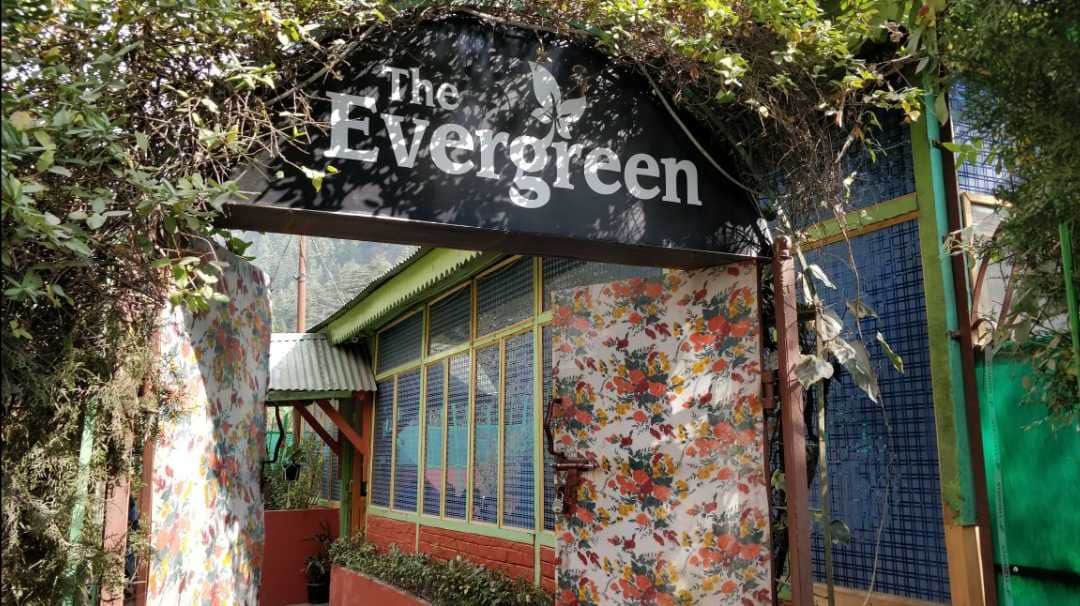 The Evergreen