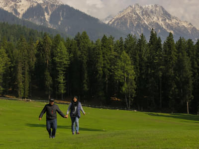 Experience the Luxury of Kashmir | FREE Excursion to Aru Valley Day 1