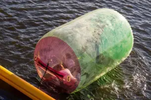 Mfxty0woe2xs4bibv3cy912udsj9 nuojz79v6vdyzk82izbr0cw5eaby downpic.cc image335650025