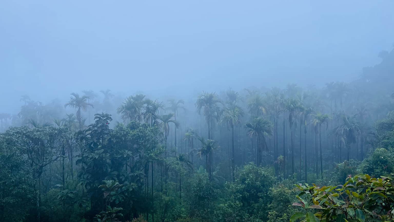 Photo from Vishal Das's trip