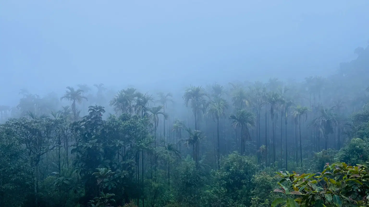 Photo from Vishal Das's trip