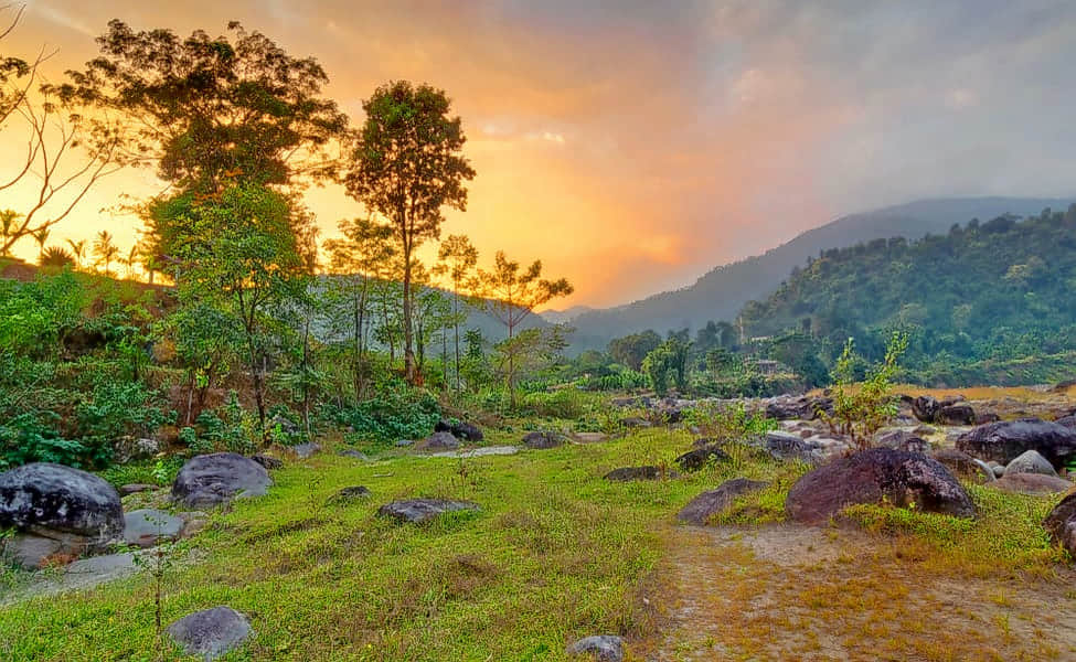 Dooars, <em>West Bengal</em>