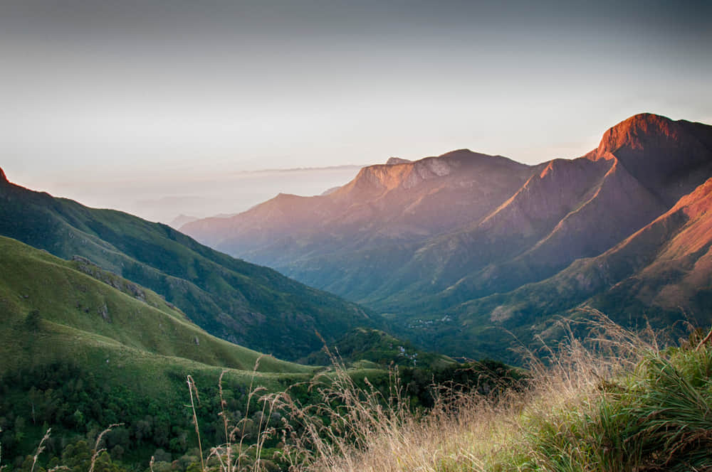 Visit the Top Station Viewpoint