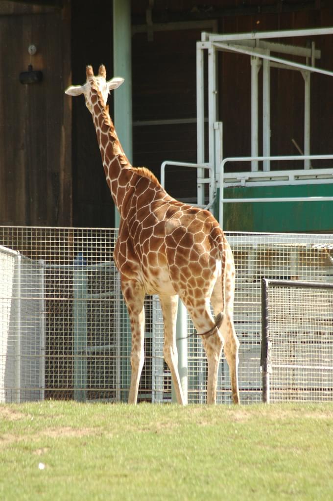 San Francisco Zoo.jpg