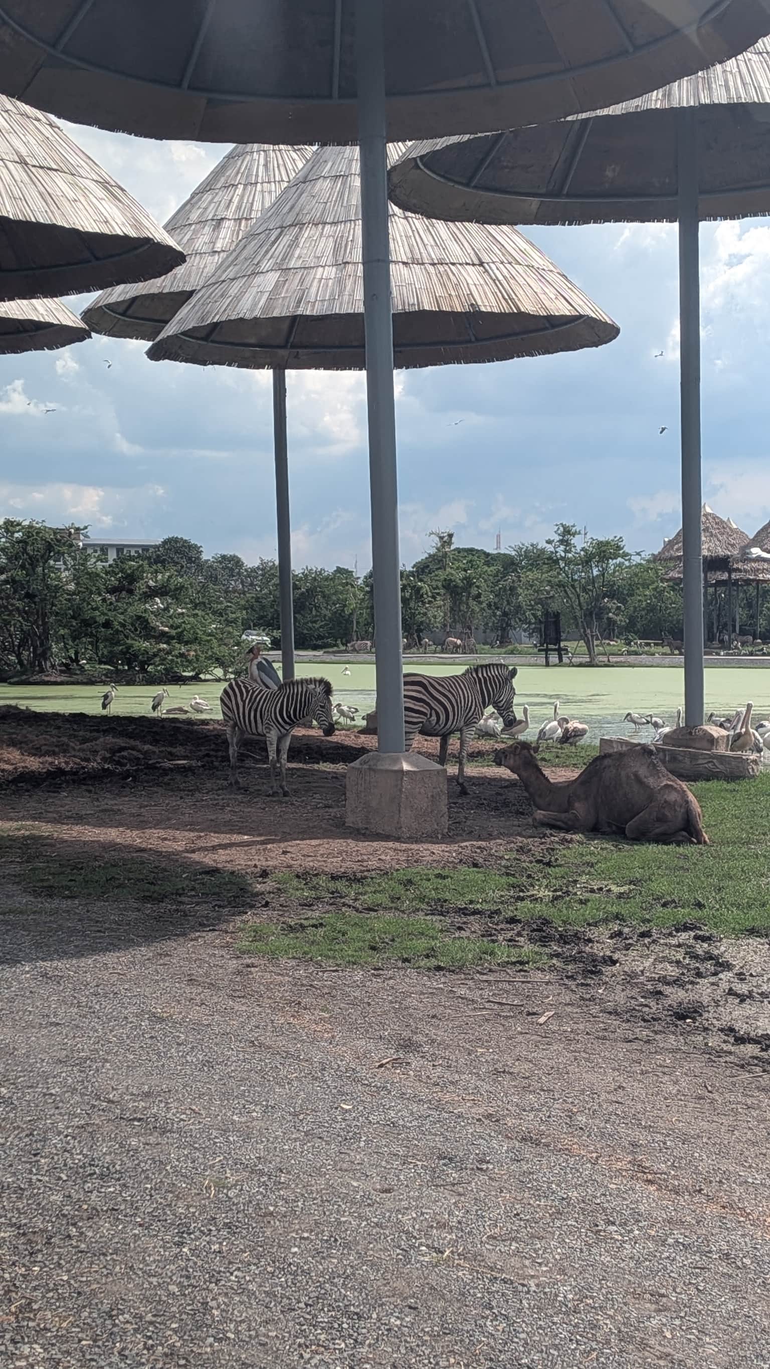Photo from Ekta Parvin's trip