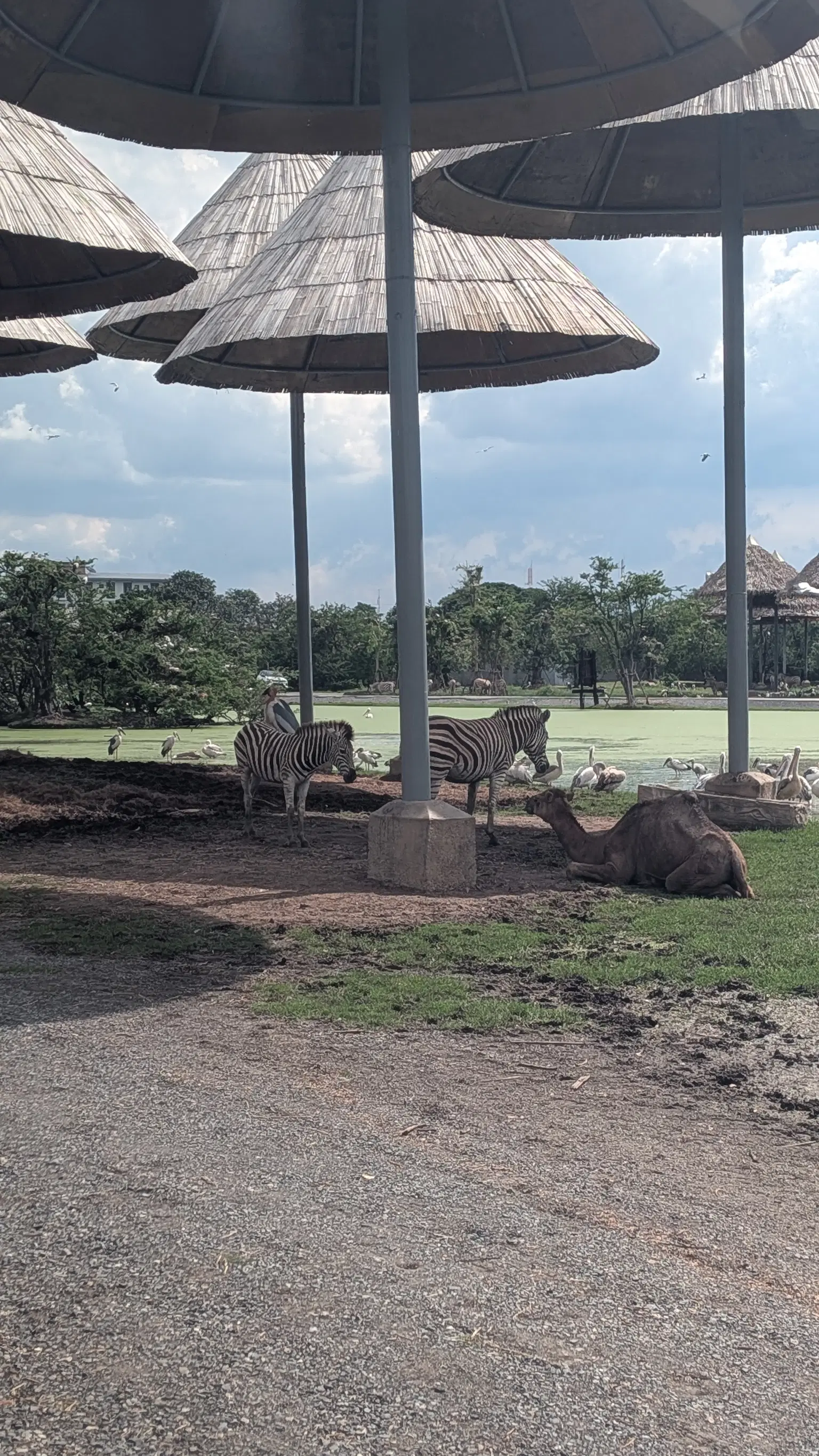 Photo from Ekta Parvin's trip