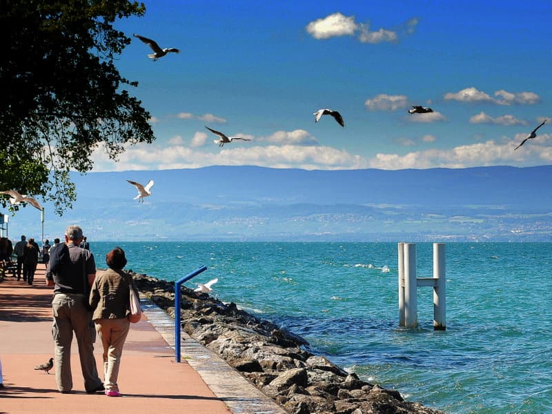 Promenade du Lac Leman Overview