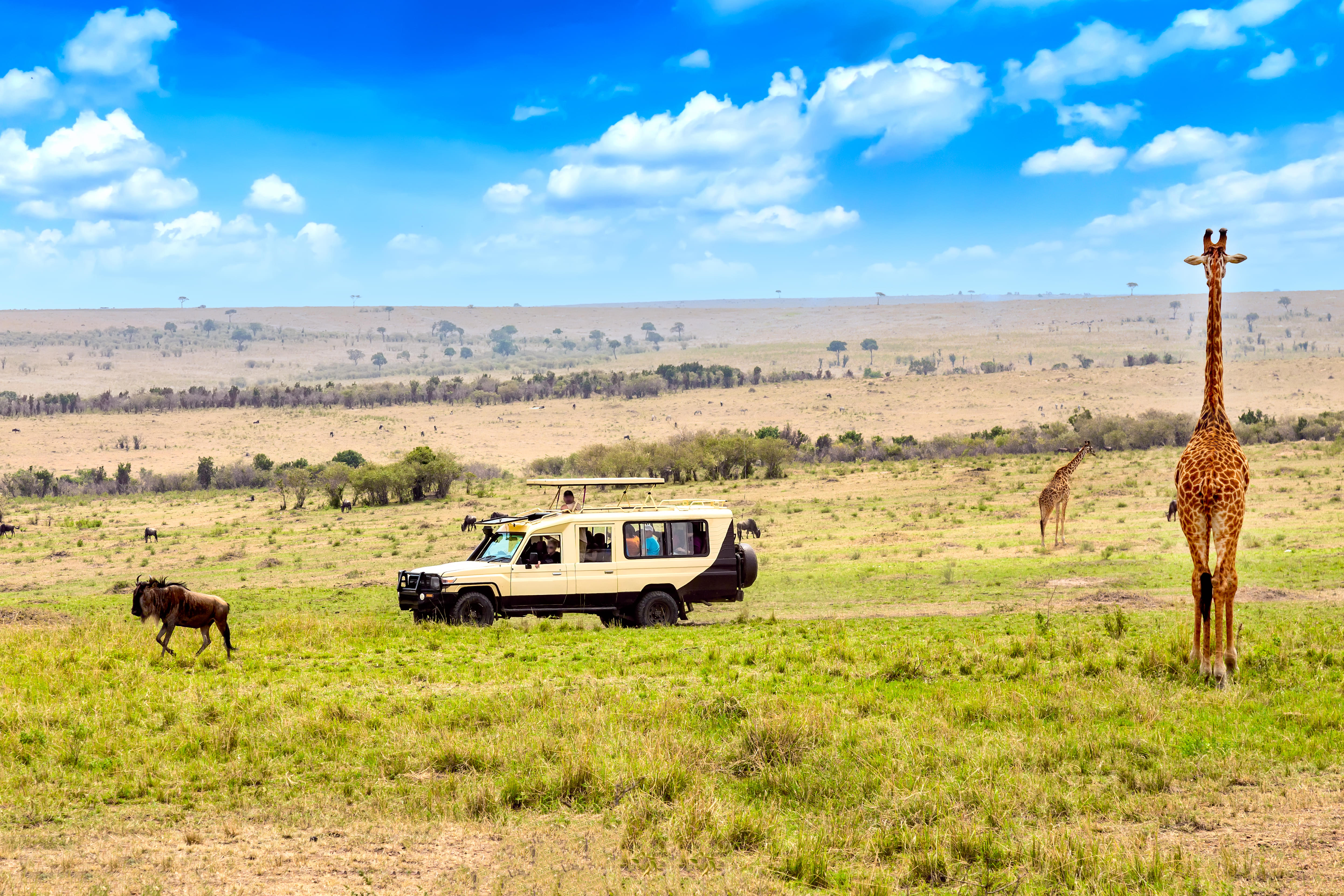 Masai Mara National Reserve Tour Packages | Upto 50% Off May Mega SALE